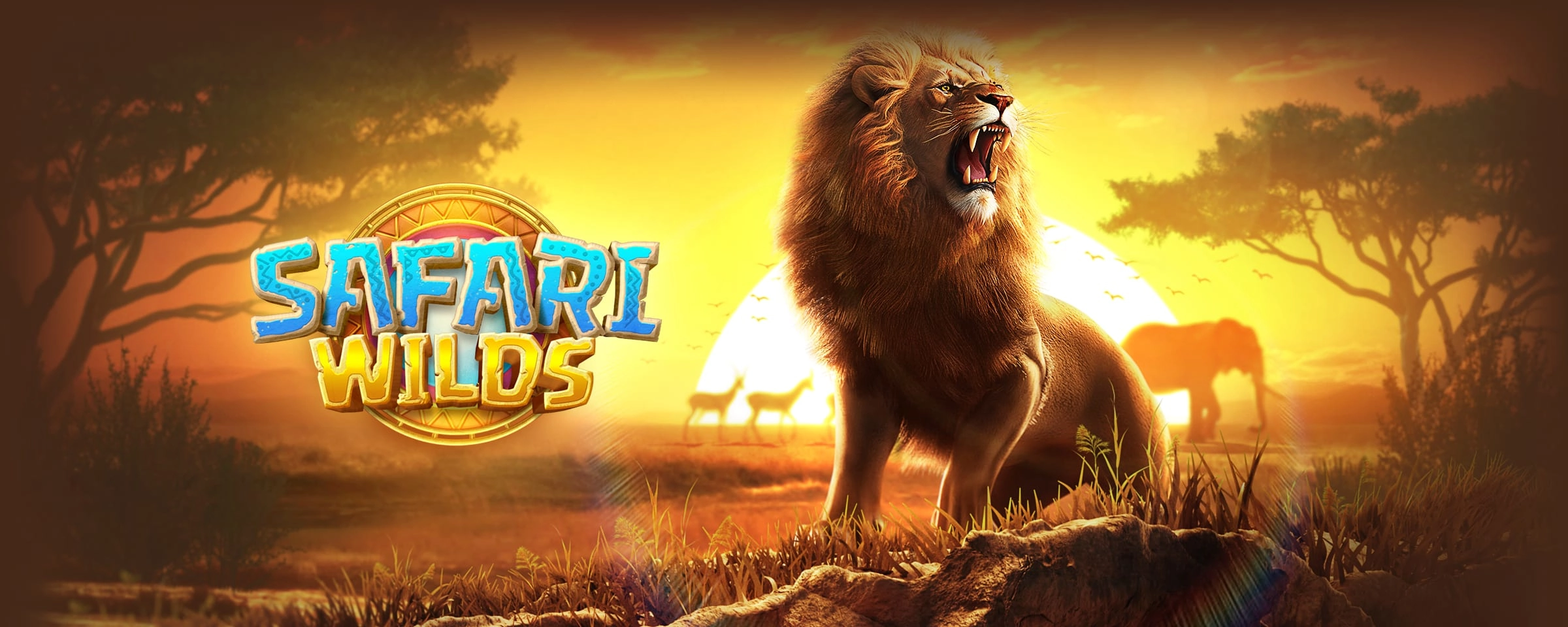 Safari Wilds